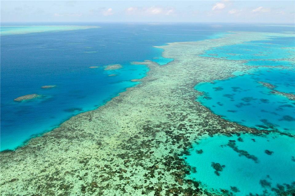 Bei Landausflug zurückgelassen: Kreuzfahrtpassagierin stirbt Das Great Barrier Reef in Australien. (Archivbild)Uncredited/Kyodo News via AP/dpa