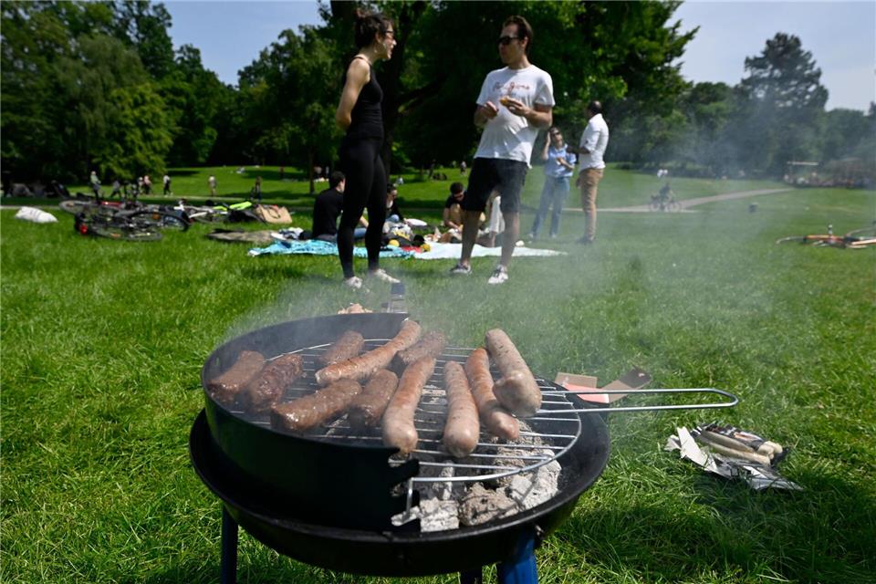 Das Grillen könnte an zwei Seen in NRW verboten werden. (Archivbild)Roberto Pfeil/dpa