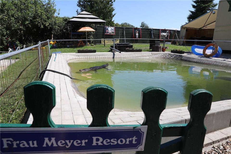 Das Grundstück von Familie Kaulis ist wegen des Alligators Frau Meyer speziell gesichert und kameraüberwacht.Stefan Tretropp/dpa