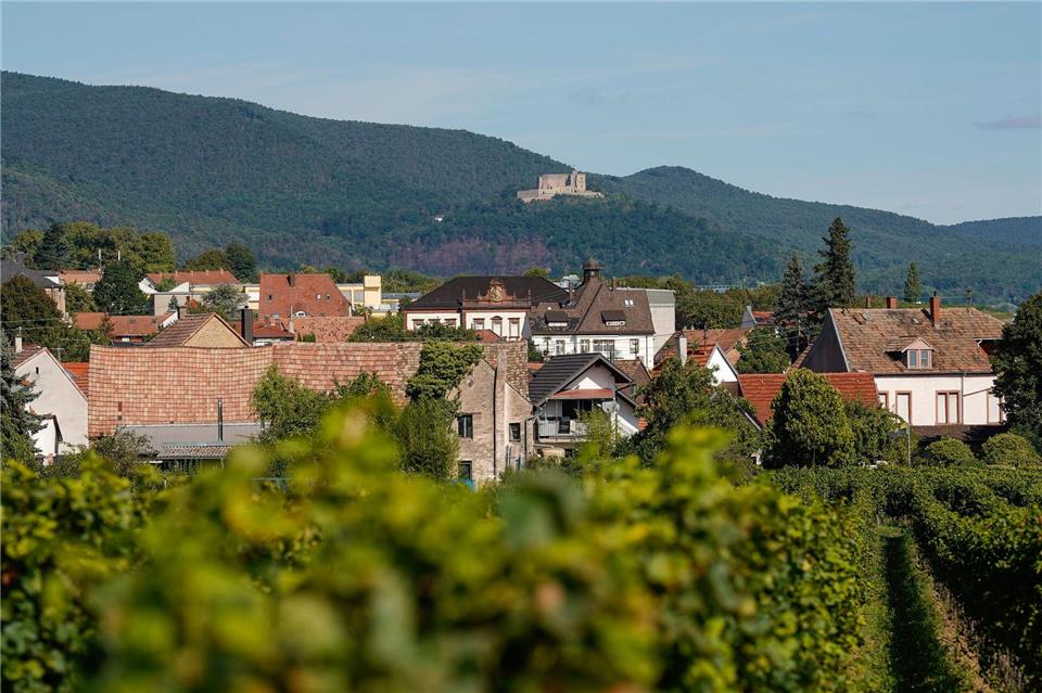 Das Hambacher Schloss über Neustadt an der Weinstraße wurde im Mittelalter als Burg erbaut und in der Neuzeit schlossartig ausgestaltet. (Archivbild)Uwe Anspach/dpa