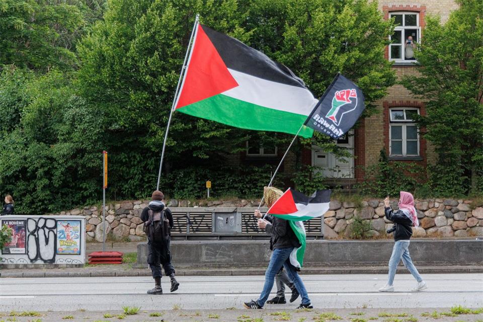 Das Hamburger Bündnis Palästina und die Gruppe Thawra Hamburg rufen für den Jahrestag der Terrorangriffe auf Israel zu einer Demonstration auf. (Archivbild)Markus Scholz/dpa