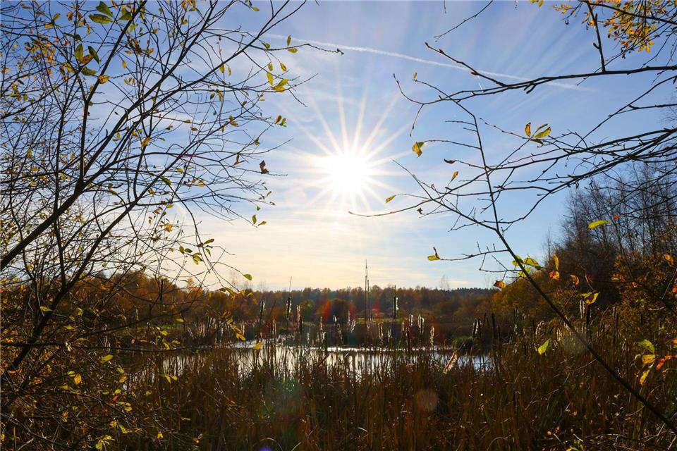 Das Hasenmoor ist eins von mehreren Naturschutzgebieten, die neu ausgewiesen werden sollen.Christian Charisius/dpa