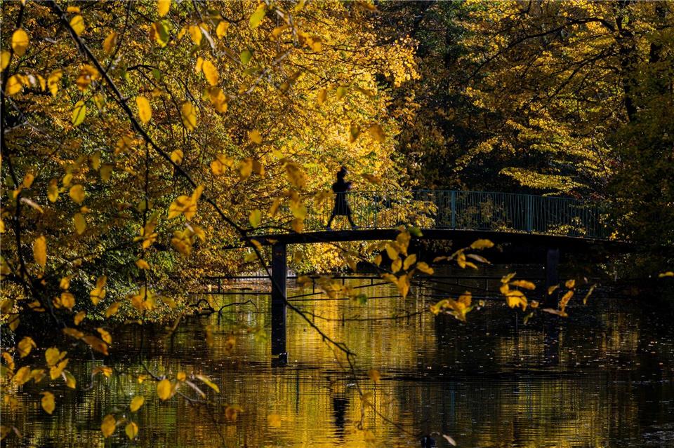 Das Herbstwetter zeigt sich in den kommenden Tagen von seiner goldenen Seite. (Symbolbild)Rolf Vennenbernd/dpa
