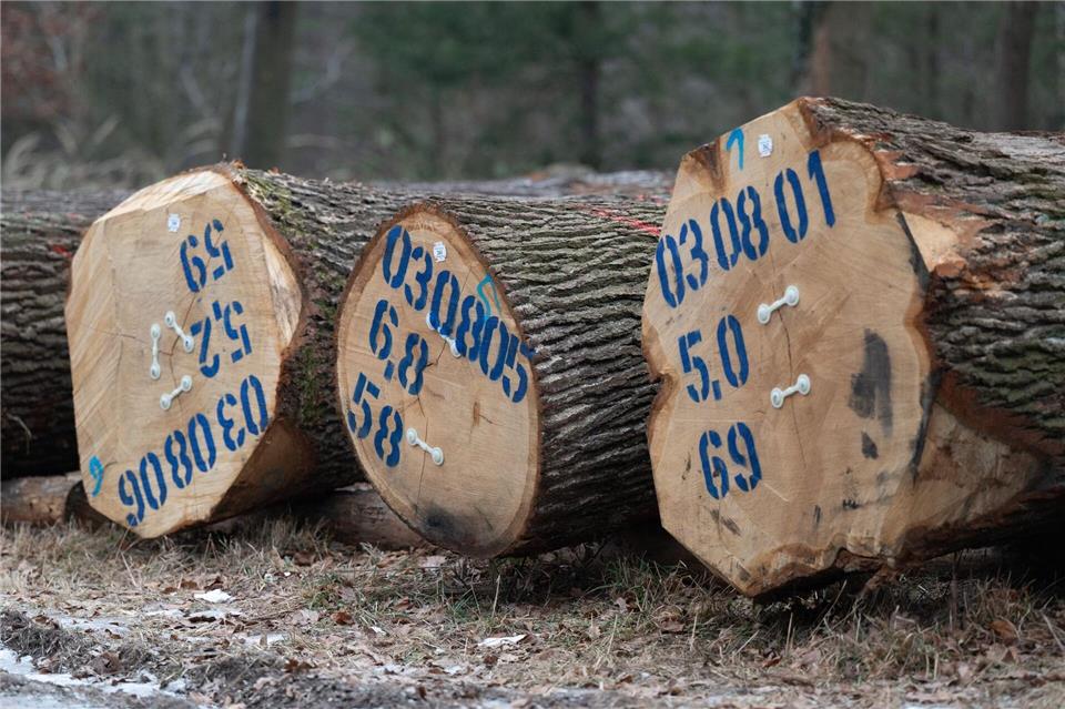 Das Holz kommt aus unterschiedlichen Betrieben in Sachsen. Sebastian Kahnert/dpa