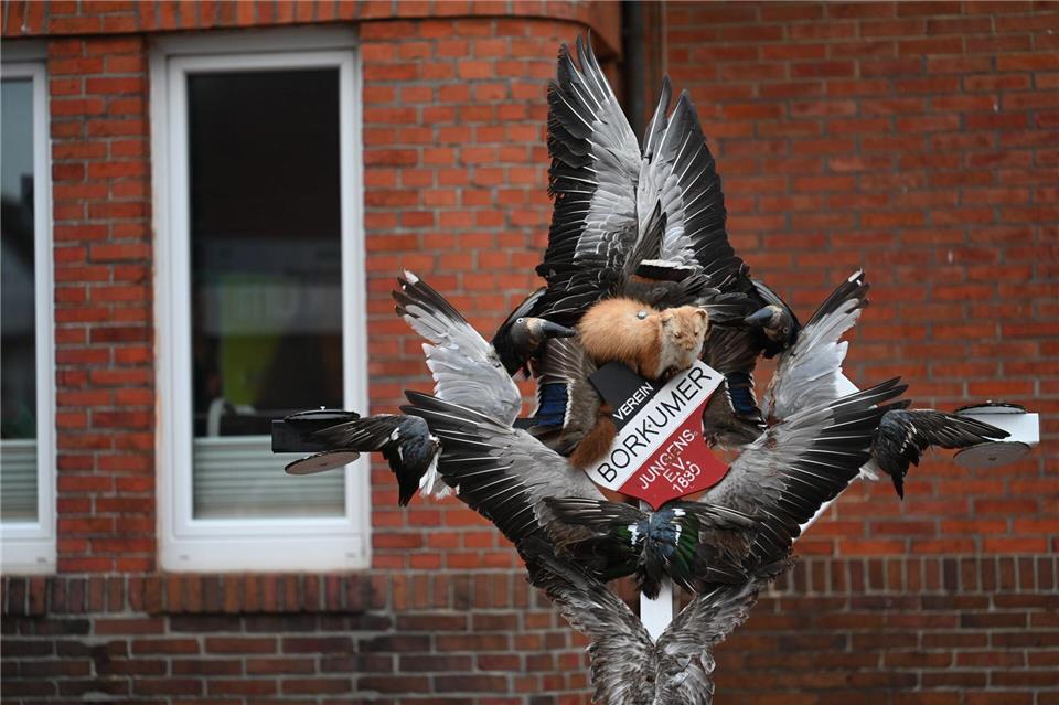 Das Klaasohm-Fest auf Borkum gehört zu den seit vielen Generationen gepflegten Traditionen auf der Insel.Lars Penning/dpa