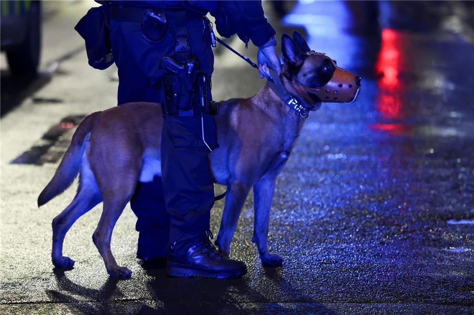 Das Kommando zum Zubeißen sei bei der nächtlichen Fahrzeugkontrolle nicht gerechtfertigt gewesen, stellte das Amtsgericht Hamburg fest. (Symbolbild)Christoph Reichwein/dpa