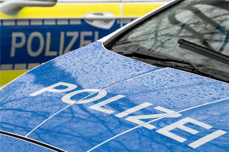 Das Lamm des Mutterschafs ließen die mutmaßlichen Diebe zurück. Die Polizei ermittelt. (Symbolbild)Soeren Stache/dpa