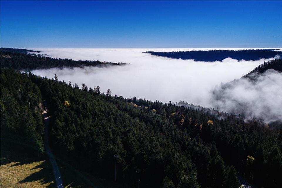 Das Land will bei der Nationalpark-Erweiterung Sorgen der Anwohner berücksichtigen. (Archivbild)Philipp von Ditfurth/dpa