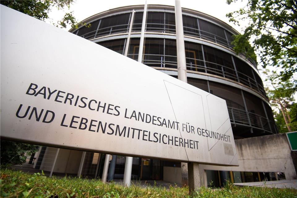 Das Landesamt für Gesundheit und Lebensmittelsicherheit warnt vor dem Kontakt mit Spitzmäusen. (Symbolbild)Nicolas Armer/dpa