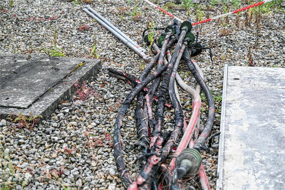Das Landeskriminalamt prüft eine linksextreme Seite im Netz. (Achivfoto)Jason Tschepljakow/dpa