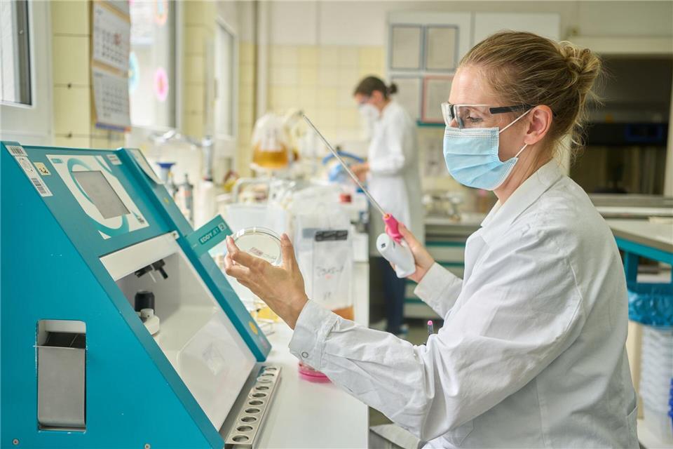 Das Landesuntersuchungsamt (LUA) weist in Arzneimitteln immer wieder gesundheitsschädliche Substanzen nach. (Archivbild)Thomas Frey/dpa