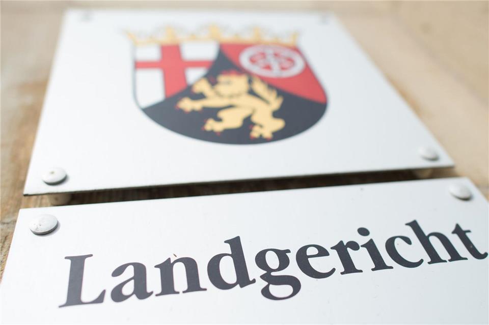 Das Landgericht Landau muss nun über die Zulassung der Anklage und die Eröffnung des Hauptverfahrens entscheiden. (Symbolfoto)Uwe Anspach/dpa