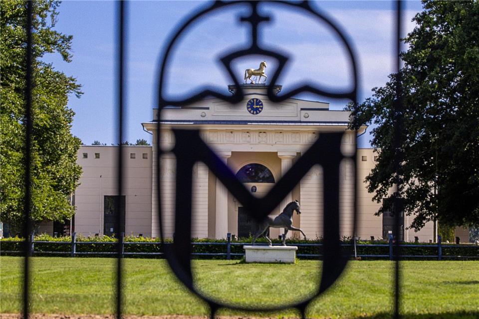 Das Landgestüt Redefin behält seinen Übergangsgeschäftsführer ein Jahr länger. (Archivbild)Jens Büttner/dpa