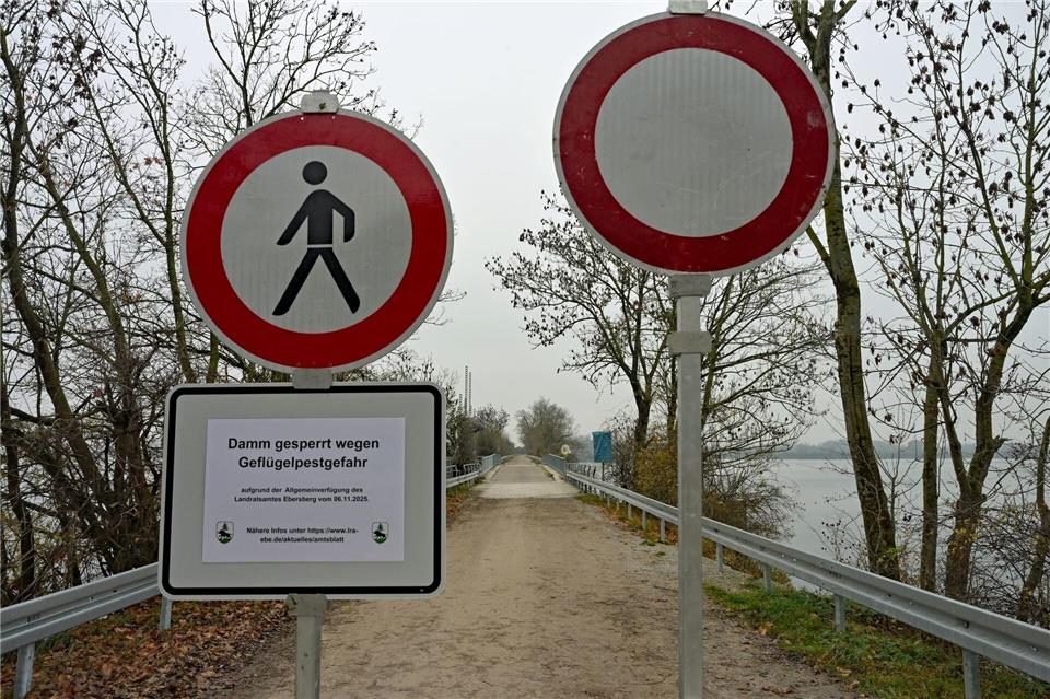 Das Landratsamt riet Spaziergänger zusätzlich zur Sperre dazu auf, das Gebiet zu meiden.Malin Wunderlich/dpa