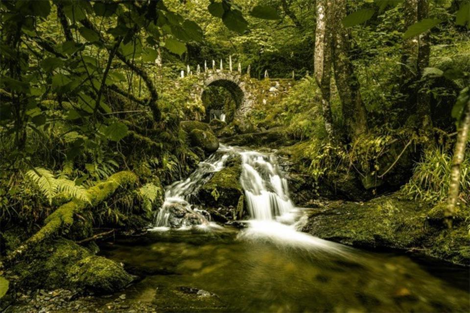 Das Lieblingsbild von Stefan Bröker zeigt die Fairy Bridge of Glen Creagan in Schottland.