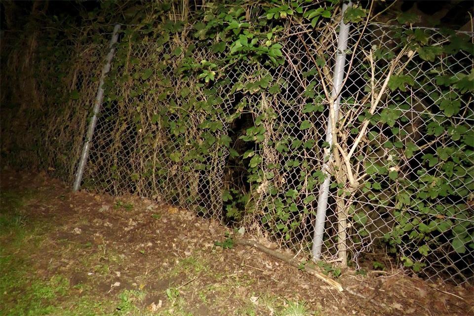 Das Loch in einem Zaun des Umspannwerks Wesel war einer Polizeistreife aufgefallen. Die Einsatzkräfte starteten daraufhin einen großen Einsatz.Nonstopnews/dpa