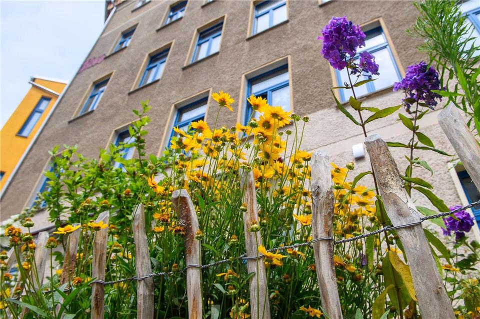 Das Magdeburger Wohnprojekt „Bunte Butze“ wurde letztes Jahr für die Sanierung eines Gründerzeithauses zum CO2-neutralen Mehrgenerationenhaus mit dem Umweltpreis Sachsen-Anhalt ausgezeichnet (Archivbild) Klaus-Dietmar Gabbert/dpa