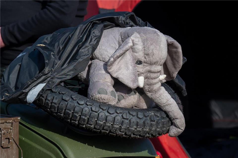 Das Maskottchen bei dem Biker-Treffen: ein Elefant.Armin Weigel/dpa