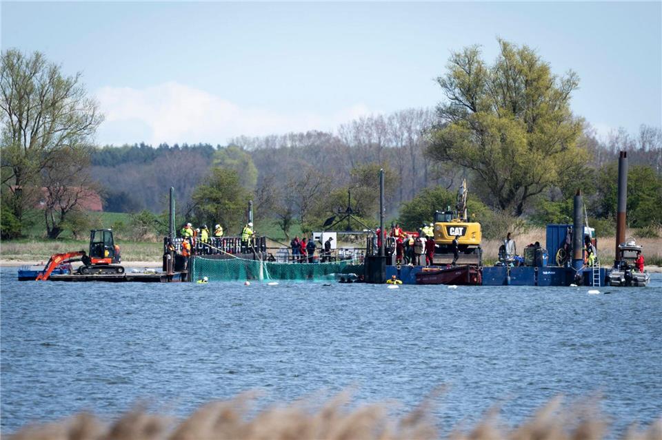 Das Netz ist runter: die Reise für den Buckelwal kann losgehenPhilip Dulian/dpa