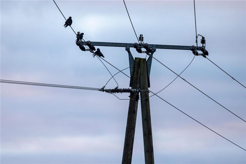 Das Niederspannungsnetz bringt den Strom in die Haushalte. (Symbolbild)Thomas Banneyer/dpa