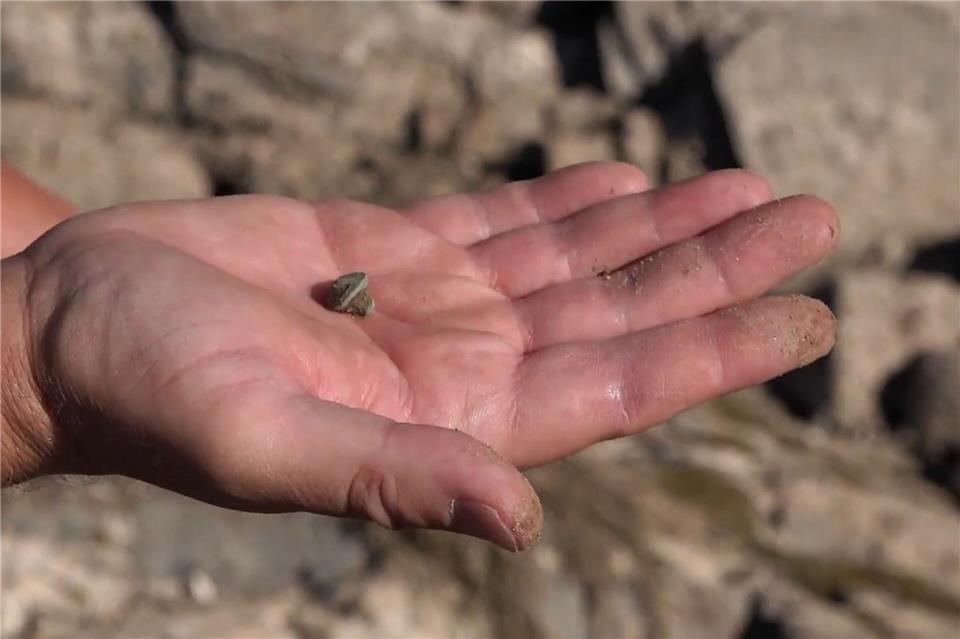 Das Niedrigwasser im Rhein ermöglicht archäologische Funde. Christian Butt/dpa
