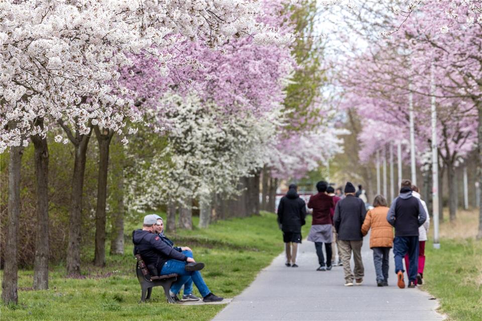 Das Osterfest in Brandenburg ist laut Polizei bisher friedlich verlaufen. (Archivbild)Frank Hammerschmidt/dpa