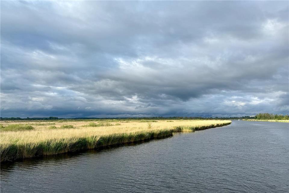 Das Peenetal in der Abendsonne: Für den kleinsten Naturpark Mecklenburg-Vorpommerns ziehen manche einen großen Vergleich - und nennen ihn „Amazonas des Nordens“.Wolfgang Stelljes/dpa-tmn