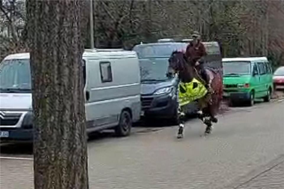 Das Pferd war im Trab so schnell, dass der Blitzer auslöste.Judith Herzog/dpa