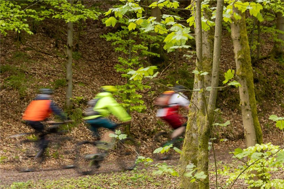 Das Radfahren im Wald soll in NRW eingeschränkt werden. (Symbolbild)Michael Reichel/dpa