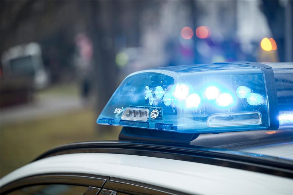 Das Reh überstand den Ausflug und die Rettung durch die Einsatzkräfte unbeschadet. (Symbolbild)Daniel Vogl/dpa