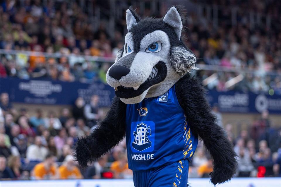Das Rostocker Maskottchen „Wolfi“.Jens Büttner/dpa