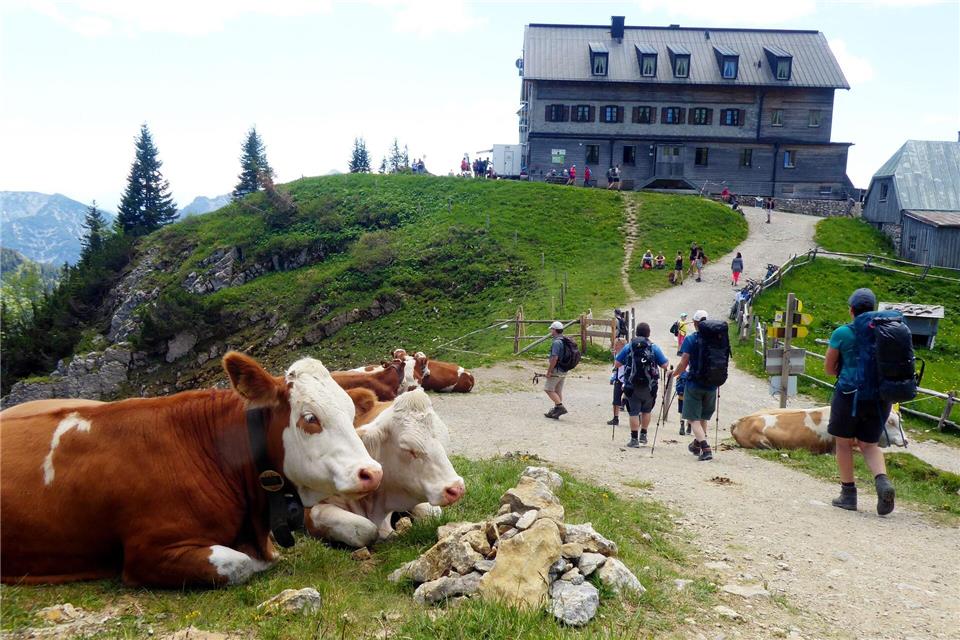 Das Rotwandhaus ist ein beliebtes Wanderziel. (Archivbild)Angelika Warmuth/dpa