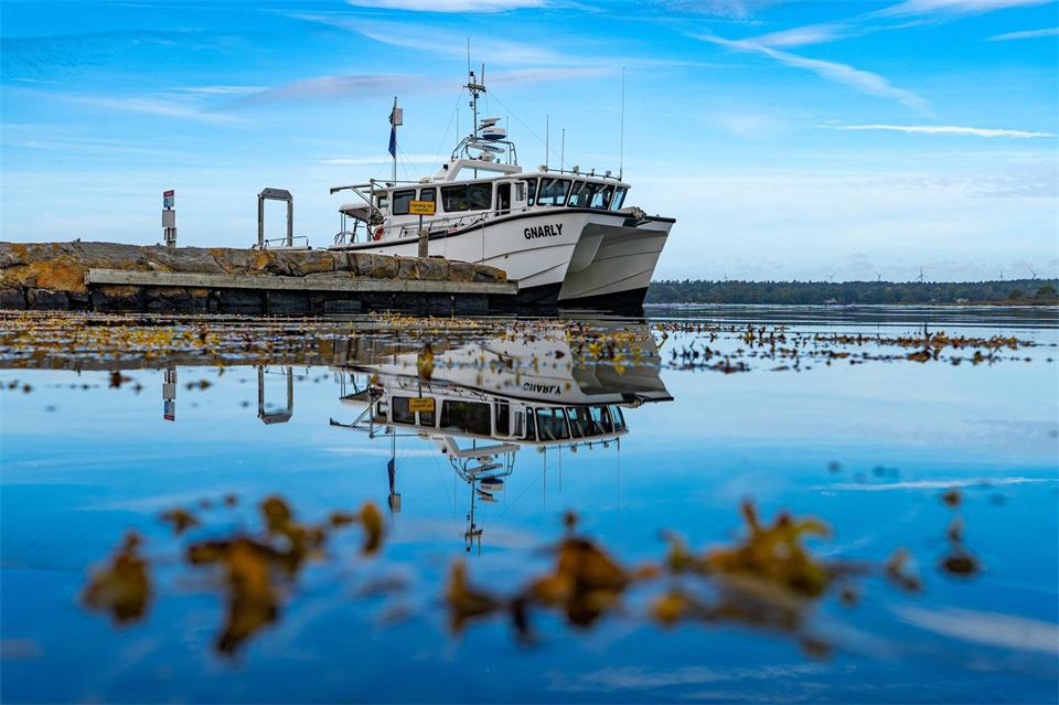 Das Schiff ist bei Ronneby in Südschweden gesunken. Florian Huber/submaris.com/dpa