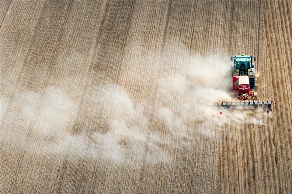 Das Schweriner Agrar- und Umweltministerium hat einen neuen Staatssekretär. (Symbolbild)Jens Büttner/dpa