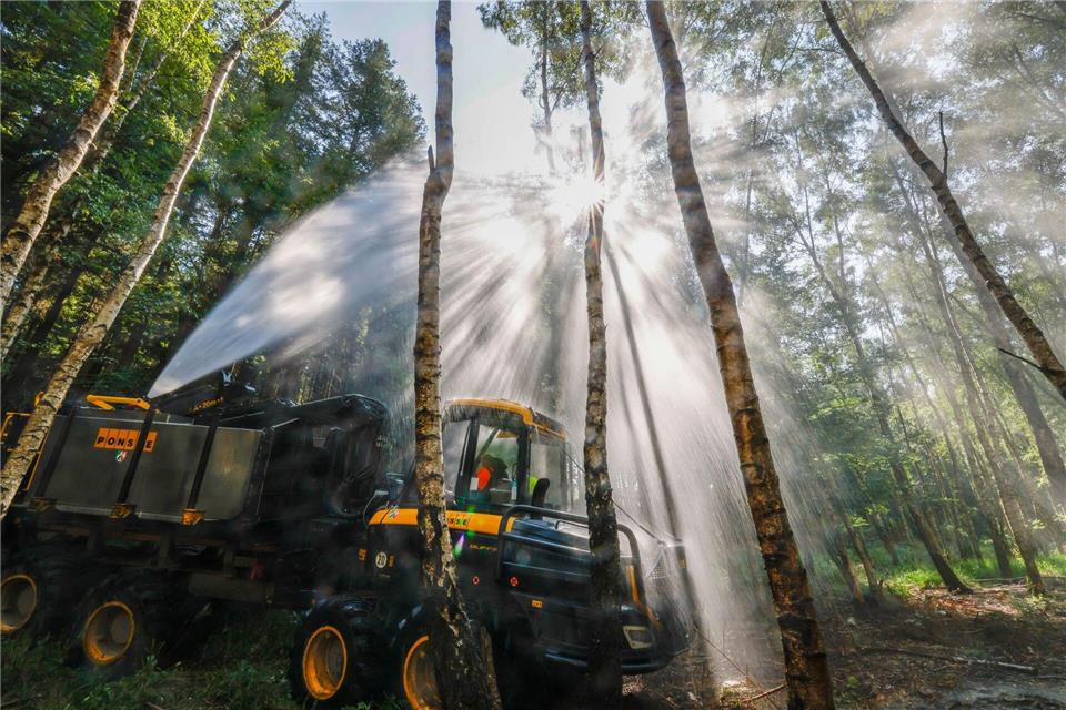 Das Speziallöschfahrzeug „Fire Fighter“ des Landes Nordrhein-Westfalen fährt bei einer Übung durch schwieriges Gelände im Wald. (Archivbild)Thomas Banneyer/dpa
