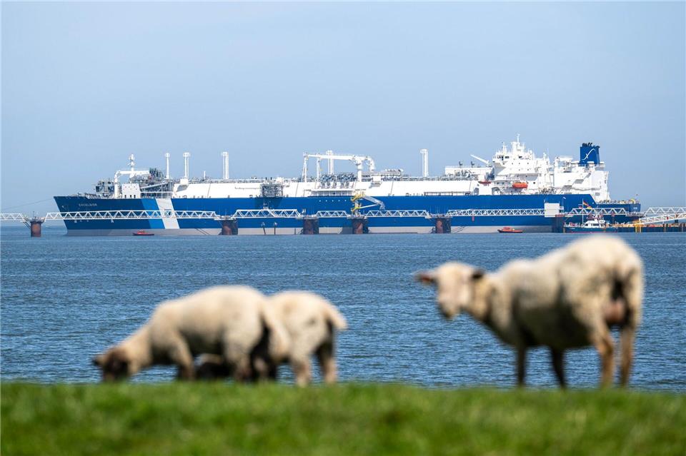 Importe über deutsche LNG-Terminals auf Rekordniveau Das Spezialschiff „Excelsior“ hat als schwimmendes LNG-Terminal Ende August den kommerziellen Betrieb aufgenommen. (Archivbild)Sina Schuldt/dpa