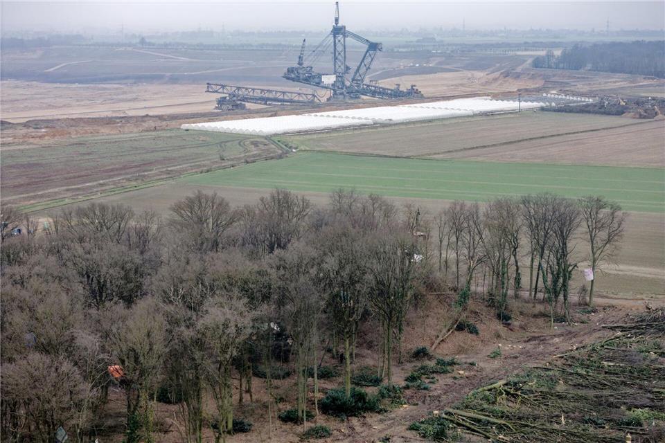 Das Sündenwäldchen ist nicht weit von den großen Baggern im Braunkohle-Tagebau Hambach entfernt. (Archivbild)Henning Kaiser/dpa