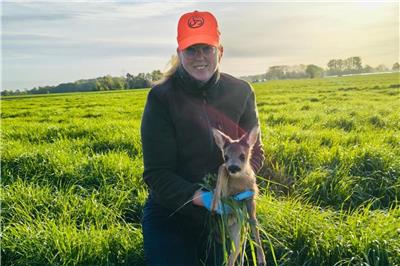 Raesfeld fawn rescuers draw a positive conclusion