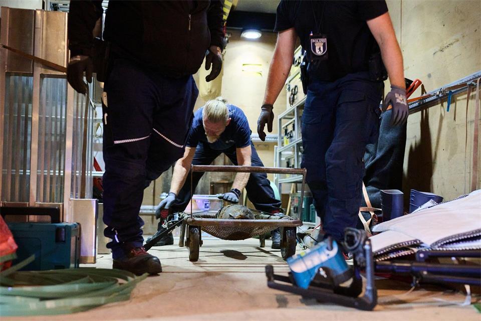 Das Team des Kampfmittelbeseitigungsdienstes transportiert den Blindgänger aus dem Zweiten Weltkrieg ab.Annette Riedl/dpa