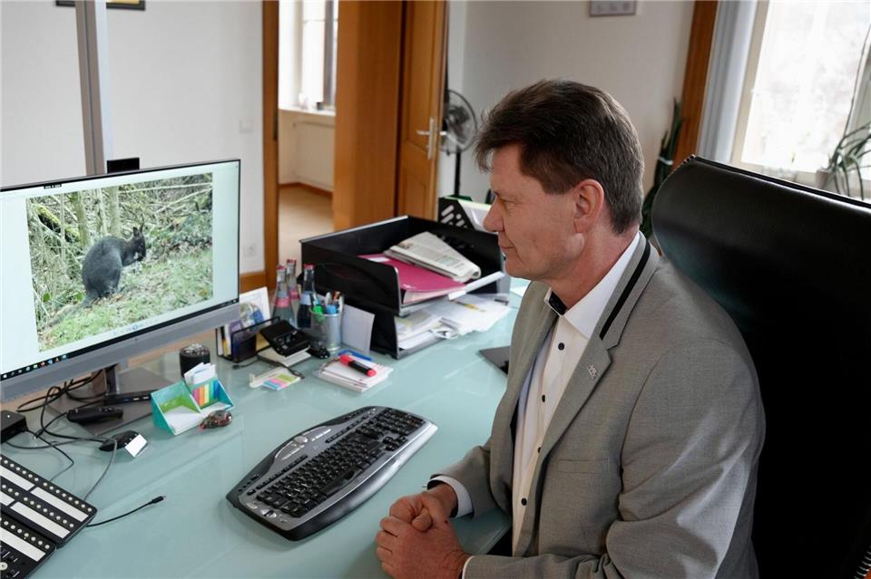 Das Tier war mehrere Tage weg. (Archivbild)Kevin Schößler/dpa