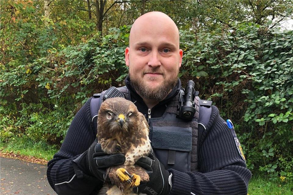 Das Tier war vermutlich auf der A23 mit einem Fahrzeug zusammengestoßen, es hatte aber keine gebrochenen Flügel.-/Bundespoliizei Flensburg/dpa