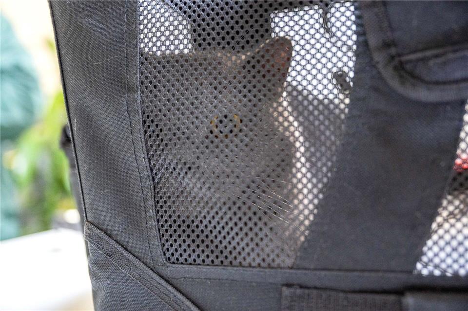 Das Tierheim Berlin hat zahlreiche Haustiere aufgenommen.Christophe Gateau/dpa