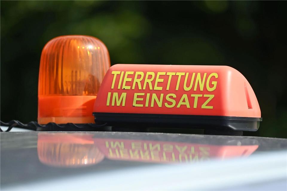 Das Veterinäramt bekam einen Hinweis. (Symbolbild)Uli Deck/dpa
