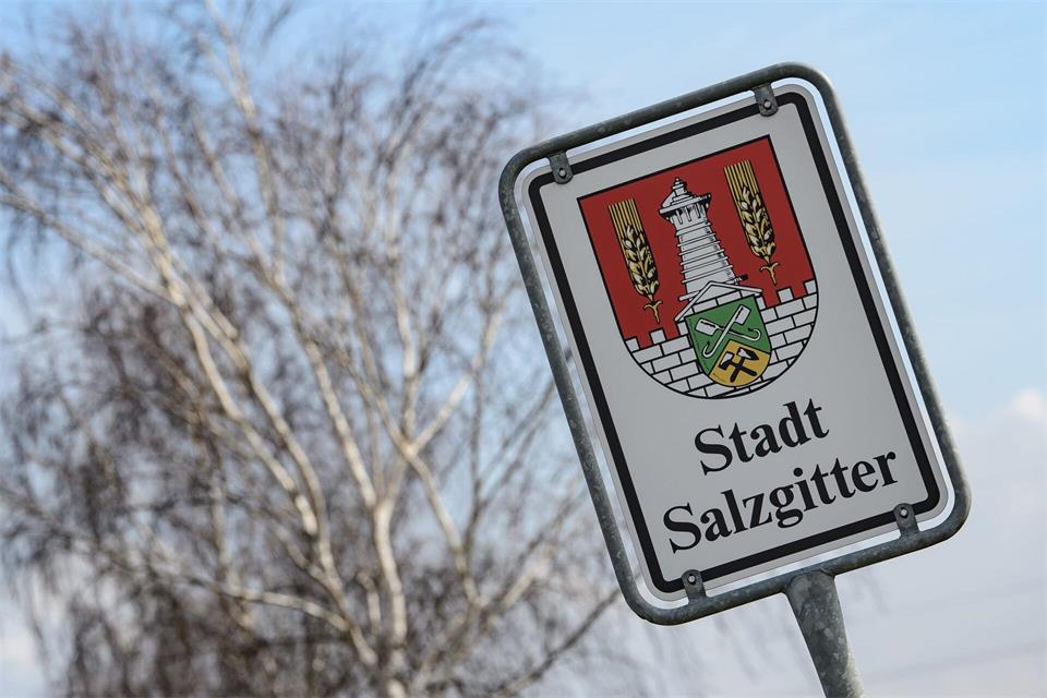 Das Wappen der für ihren Stahl bekannten Stadt Salzgitter. (Archivbild) Swen Pförtner/dpa