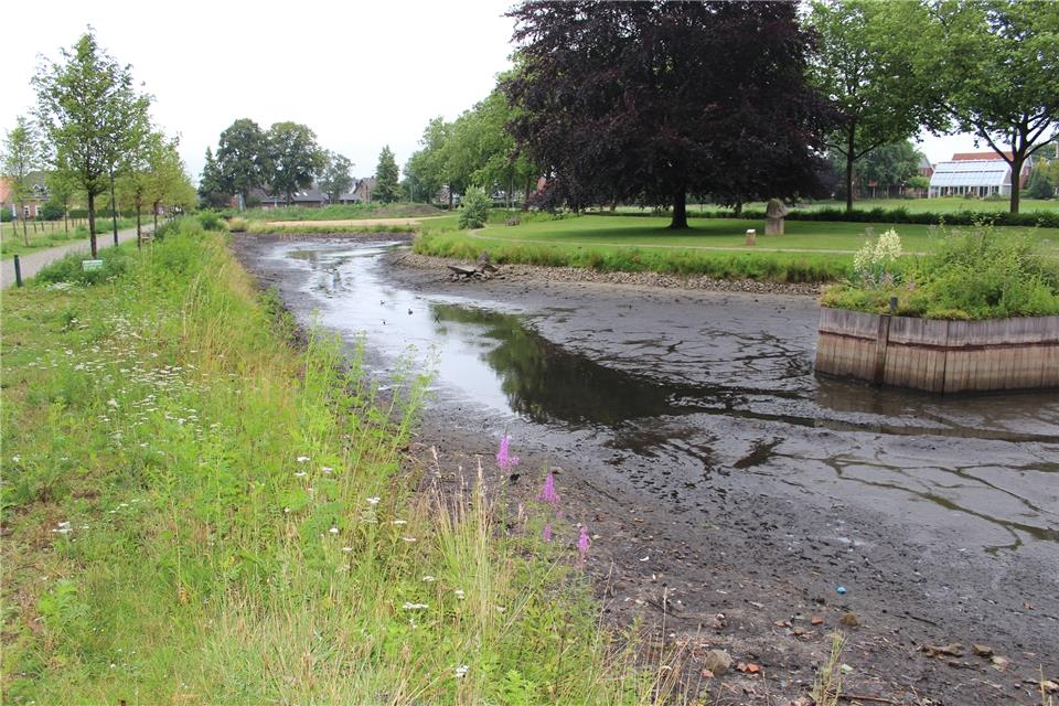 Das Wasser am Karpfenteich an der Schlossfreiheit wurde abgelassen.
