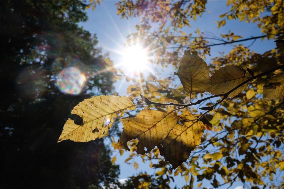 Oktober verabschiedet sich mit milden 19 Grad  Das Wetter an Halloween wird alles andere als gruselig. (Archivbild) Bernd Weißbrod/dpa
