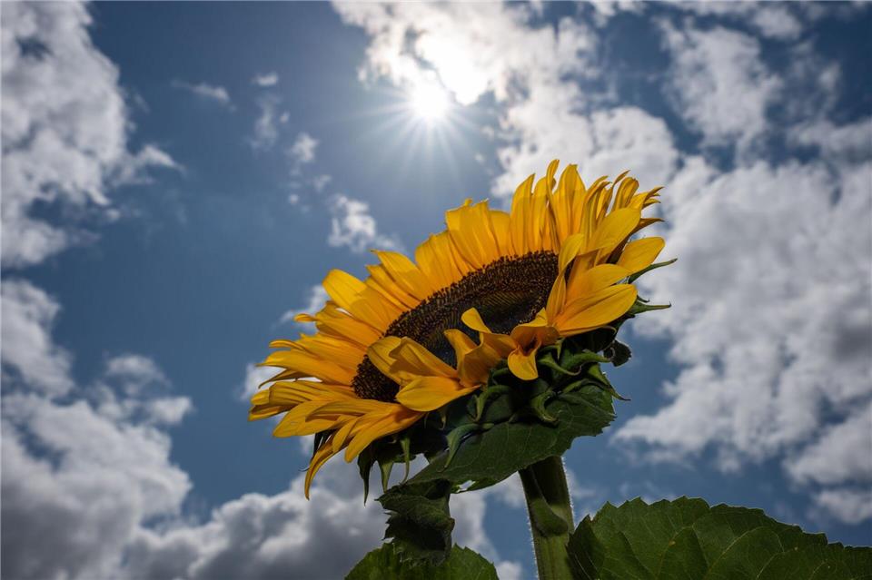 Das Wetter bleibt sommerlich - und es ist nicht mehr ganz so heiß. (Symbolbild)Harald Tittel/dpa
