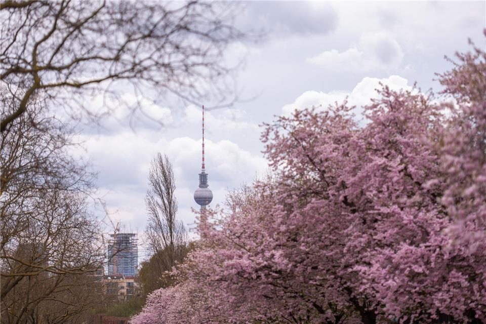 Das Wetter bleibt wechselhaft. (Archivbild)Christophe Gateau/dpa