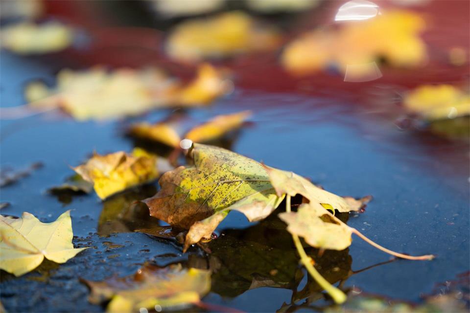 Das Wetter bringt einen herbstlichen Mix aus freundlichen Phasen sowie ungemütlichen Phasen mit Regen und Wind. (Archivbild)Florian Wiegand/dpa