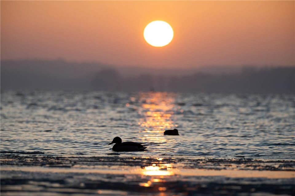 Das Wetter bringt in Mecklenburg-Vorpommern am Wochenende Wolken, Regen und auch viel Sonne. (Symbolbild)Philip Dulian/dpa